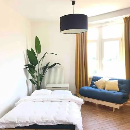 Cozy - Sunny Zurenborg